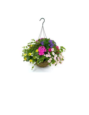 Celebrate National Garden Week with the Shaler Garden Club! Join in some fun making your own floral hanging basket in the Shaler North Hills Library’s side garden with guidance from            members of the Shaler Garden Club. Supplies provided by McTighe’s Garden Center  Tuesday, June 4 6:00 pm to 8:00 pm  (Rain or Shine) Cost: $20  CASH ONLY! Limited to 20 people  Payment due upon registration at Shaler North Hills Library For more information, please call the library at 412-486-0211